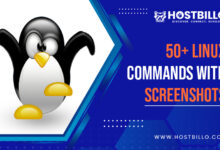 50+ Linux Commands with Screenshots