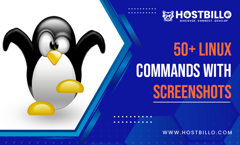 50+ Linux Commands with Screenshots