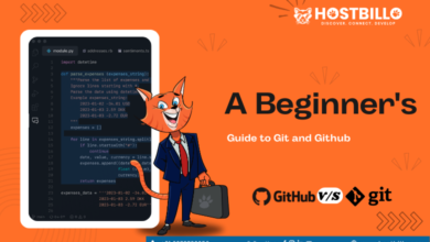 A Beginner's Guide to Git and Github