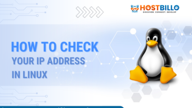 How to Check Your IP Address in Linux