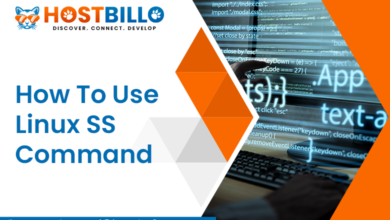 Linux SS Command