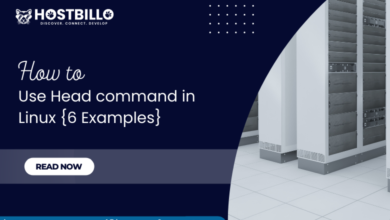 How to Use Head command in Linux {6 Examples}