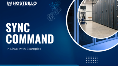 Sync Command in Linux with Examples