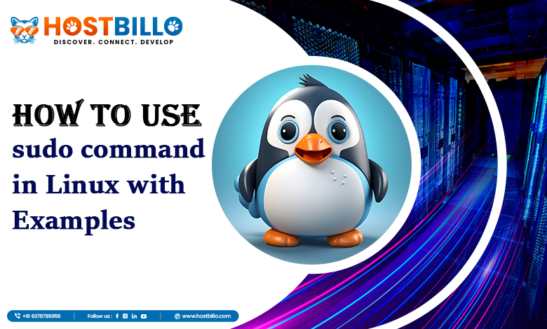 How to Use sudo Command in Linux with Examples